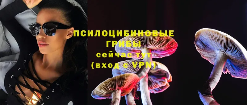 Галлюциногенные грибы Psilocybe  OMG вход  Анапа 